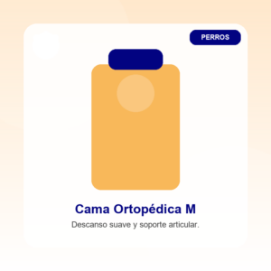 Cama Ortopédica M